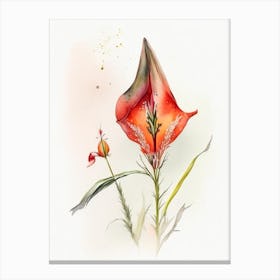 Arrowhead Wildflower Watercolour 2 Canvas Print