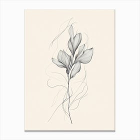 Drawing Of A Flower 5 Canvas Print