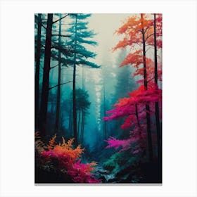 Forest 4 Canvas Print