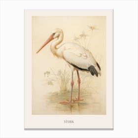 Vintage Bird Drawing Stork 2 Poster Canvas Print
