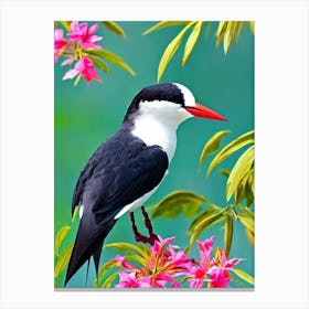 Common Tern Tropical bird Canvas Print