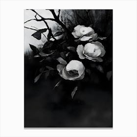 Black And White Roses 1 Canvas Print