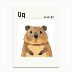 Animals Alphabet Quokka 3 Canvas Print