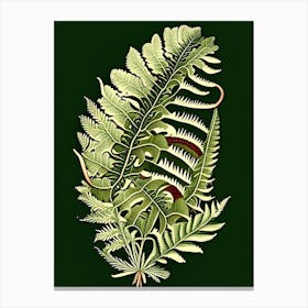 Ribbon Fern Vintage Botanical Poster Canvas Print