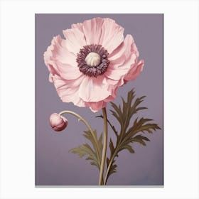 Floral Illustration Anemone 3 Canvas Print