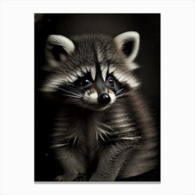 Baby Raccoon Vintage Photography Canvas Print