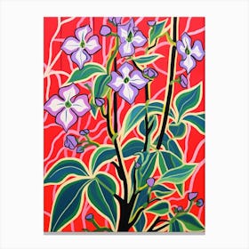 Pink And Red Plant Illustration Tradescantia Tricolor Canvas Print