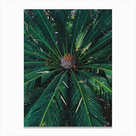 Green Tropicals Ii Canvas Print