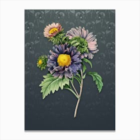 Vintage China Aster Botanical on Slate Gray Pattern n.0956 Canvas Print