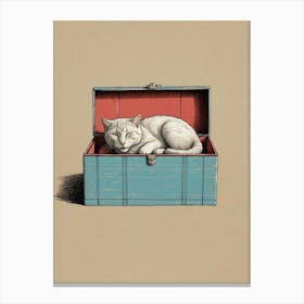 Cat In A Box 1 Canvas Print