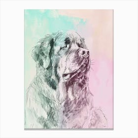 Newfoundland Pastel Line Illustration 2 Canvas Print