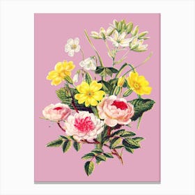 Vintage Bouquet Flowers Floral Illustration Pink Canvas Print