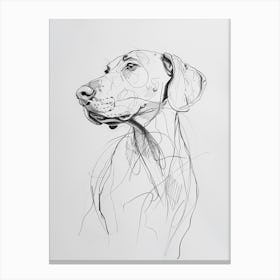 Weimaraner Dog Charcoal Line 2 Canvas Print