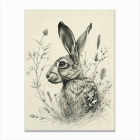 Lionhead Rabbit Drawing 3 Canvas Print
