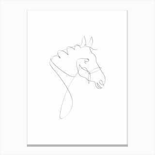 Horse Line I Canvas Print