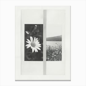 Daisy Flower Photo Collage 4 Canvas Print