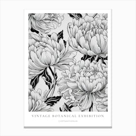 Chrysanthemum B&W Vintage Botanical Poster Canvas Print