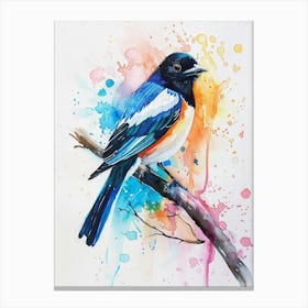 Magpie Colourful Watercolour 1 Canvas Print