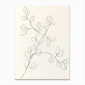 Twigs And Leaves 1 Canvas Print