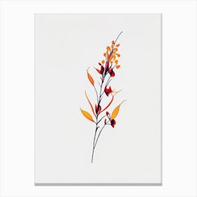 Firethorn Floral Minimal Line Drawing 3 Flower Canvas Print