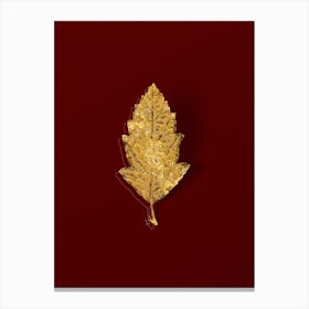Vintage Crabapple Botanical in Gold on Red Canvas Print