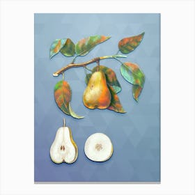 Vintage Pear Botanical Art on Summer Song Blue n.1428 Canvas Print