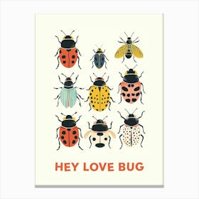Hey Love Bug Poster 7 Canvas Print