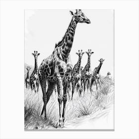 Herd Of Giraffes In The Grass Pencil Drawing 2 Canvas Print