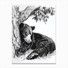 Malayan Sun Bear Laying Under A Tree Ink Illustration 2 Canvas Print