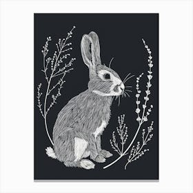 Netherland Dwarf Rabbit Minimalist Illustration 3 Canvas Print