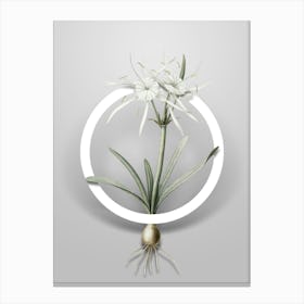 Vintage Streambank Spiderlily Minimalist Floral Geometric Circle on Soft Gray n.0132 Canvas Print