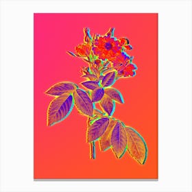 Neon Boursault Rose Botanical in Hot Pink and Electric Blue n.0366 Canvas Print