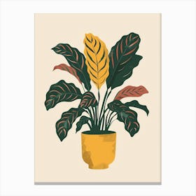 Calathea Plant Minimalist Illustration 8 Canvas Print