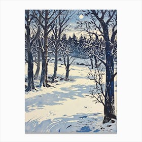 Winter'S Night Canvas Print