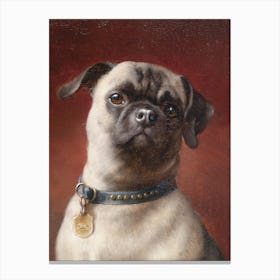 Vintage Painting Pug Canvas Print