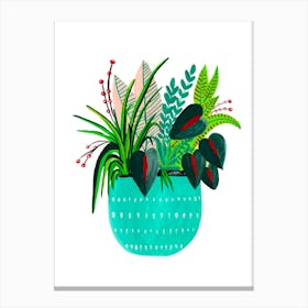 Teal Potted Plant Canvas Print