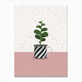 Succulent Plant 2 Canvas Print