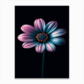 Daisy 2 Canvas Print