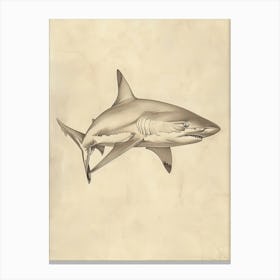Dogfish Shark Vintage Illustration 7 Canvas Print