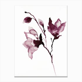 Magnolia 42 Canvas Print
