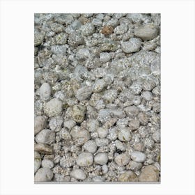 Clear sea water and white stones Canvas Print