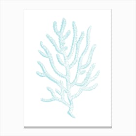 Blue Coral 3 Canvas Print