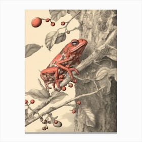 Red Tree Frog Vintage Botanical 6 Canvas Print