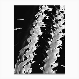 Black And White Abstract 5 Canvas Print