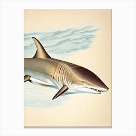 Sand Tiger Shark 3 Vintage Canvas Print