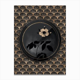 Shadowy Vintage Big Leaved Climbing Rose Botanical in Black and Gold n.0148 Canvas Print