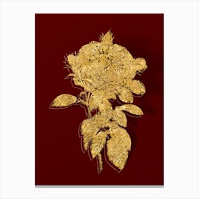 Vintage Giant French Rose Botanical in Gold on Red n.0123 Canvas Print