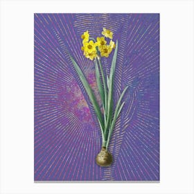 Vintage Daffodil Botanical Illustration on Veri Peri n.0428 Canvas Print