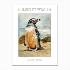 Humboldt Penguin Bleaker Island Watercolour Painting 2 Poster Canvas Print