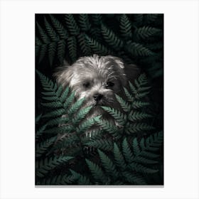 Puppy In The Ferns Canvas Print